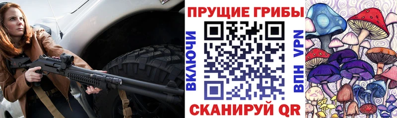 Галлюциногенные грибы Cubensis Елабуга