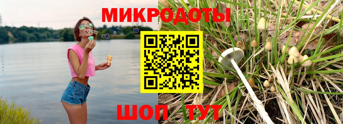 где купить   Вход с VPN  Елабуга  Псилоцибиновые грибы Psilocybe 