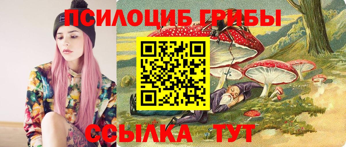 Псилоцибиновые грибы GOLDEN TEACHER Елабуга