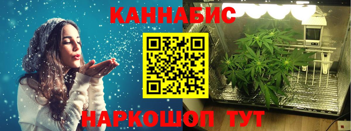 Канабис сатива  Бошки Шишки планчик  Марихуана индика  Вход с VPN  Елабуга 